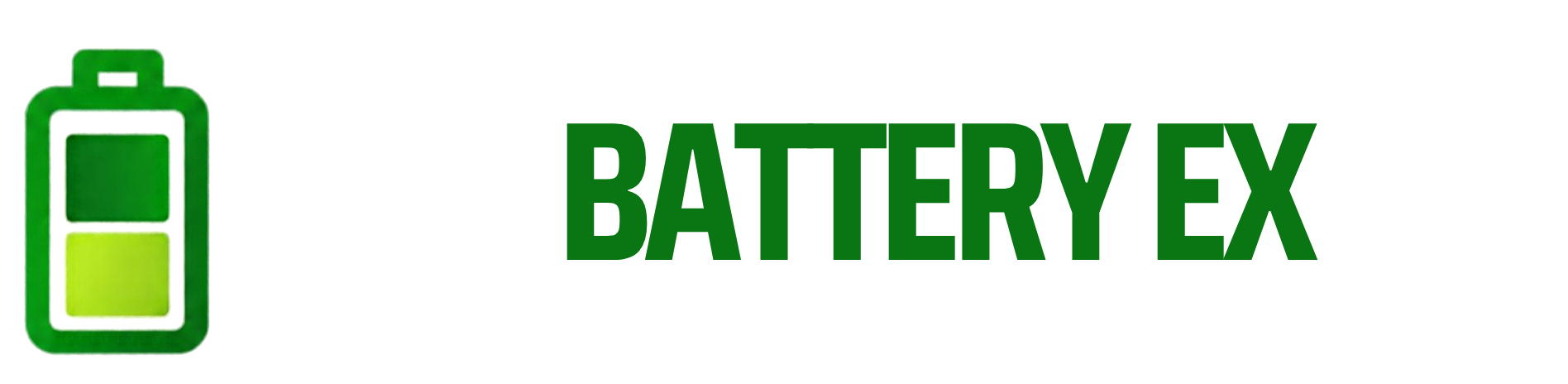 New Battery Expo